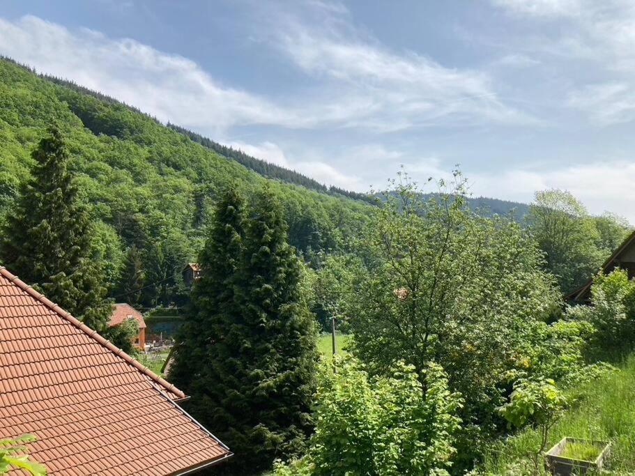 La Belle Vallee Lalaye Exteriör bild