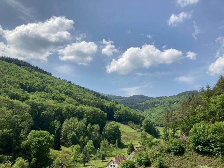 La Belle Vallee Lalaye Exteriör bild